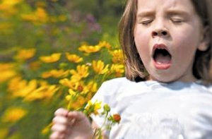 аллергия, аллергия на пыльцу, аллергия у детей