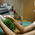 Дарья Кольцова, 9 лет. Ёлочка из пластиковой бутылки и пряжи