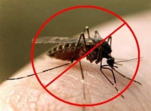 комар, защита от насекомых