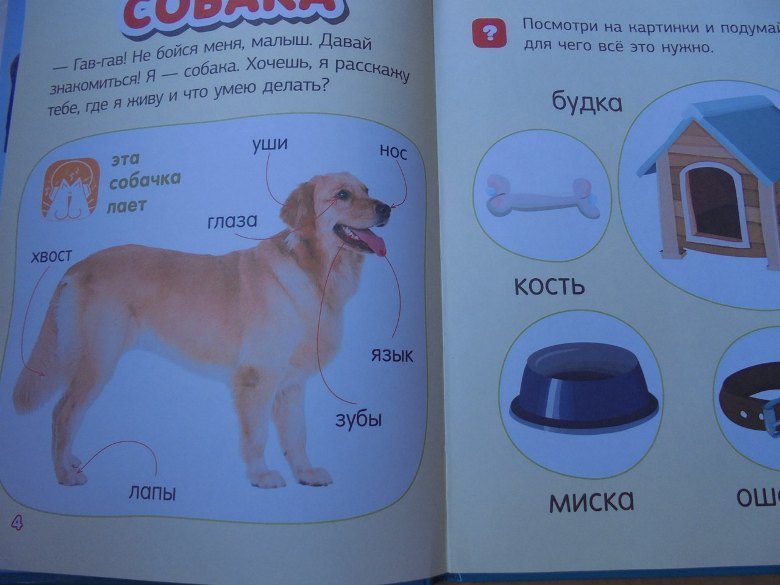 kniga11.jpg