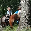 Сергей (2 года 6 месяцев) Еду-еду в далекие края...