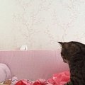 Валерия Заботина, 1 месяц