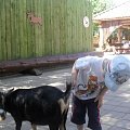 Илюша Стефанюк в зоопарке "Лимпопо"