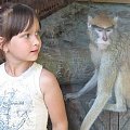 Алиночка (5 лет)