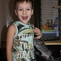 Влад Соловьёв (5 лет) и шиншилла Арчи