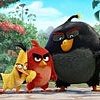 В поисках ANGRY BIRDS - итоги конкурса!