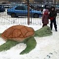 Снежная черепаха