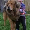 Александр Максимейко
