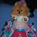 Лиза Липейко (10 лет) и собачка Есения (1 год) "Мы - одно целое"